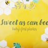 image:imageCR Gibson Blooming Beginnings Gender Neutral Baby Photo Album Book Holds 64 Photos 85 x 9 MulticolorSweet as Can Bee