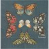 image:imageCR Gibson TW1225236 Portmeirion Botanical Garden Disposable Paper Dinner Plate Set for Parties 105 Diameter Multicolor 8pcsBotanical Garden