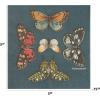 image:imageCR Gibson TW1225236 Portmeirion Botanical Garden Disposable Paper Dinner Plate Set for Parties 105 Diameter Multicolor 8pcsBotanical Garden