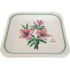 image:imageCR Gibson TW1225236 Portmeirion Botanical Garden Disposable Paper Dinner Plate Set for Parties 105 Diameter Multicolor 8pcsSpode Garden