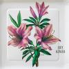 image:imageCR Gibson TW1225236 Portmeirion Botanical Garden Disposable Paper Dinner Plate Set for Parties 105 Diameter Multicolor 8pcsSpode Garden