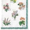 image:imageCR Gibson TW1225236 Portmeirion Botanical Garden Disposable Paper Dinner Plate Set for Parties 105 Diameter Multicolor 8pcsSpode Garden