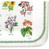 image:imageCR Gibson TW1225236 Portmeirion Botanical Garden Disposable Paper Dinner Plate Set for Parties 105 Diameter Multicolor 8pcsSpode Garden