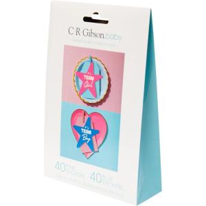 image:imageCR Gibson Celestial Baby Gender Reveal Party Balloon Garland and Popper Kit 43 Pieces MulticolorStickers