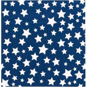 image:imageXampO Paper Goods TW721994 Disposable Dessert and Lunch Napkins for Parties 20pc 5 x 5 Blue and White American Stars5 x 5