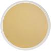 image:imageCR Gibson Dinner Plates Out of This World  Holographic Foil Accents  8 Count TW1225507Gold and White
