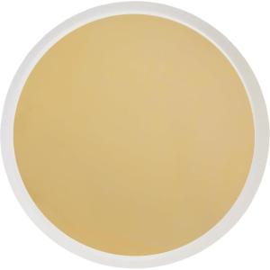 image:imageCR Gibson Dinner Plates Out of This World  Holographic Foil Accents  8 Count TW1225507Gold and White