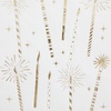 image:imageSlant 16Count Paper Birthday Dinner Napkins 775 x 425 Sprinkle  Decorated Disposable NapkinsYay