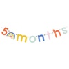image:imageCR Gibson BANM22591 Baby Milestone Letters Party Banner Kit 115 Letters