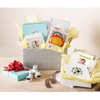 image:imageCR Gibson BANM22591 Baby Milestone Letters Party Banner Kit 115 Letters