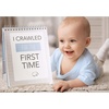 image:imageCR Gibson Wild Animals My First Year Milestone Book for Baby Boys by DwellStudio 85 W x 1075 H