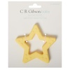 image:imageCR Gibson BPAFree Silicone Baby Teether 3 x 3 Star  100 foodgrade Easygrip ring Raised texture Lightweight Supports sensory explorationStar